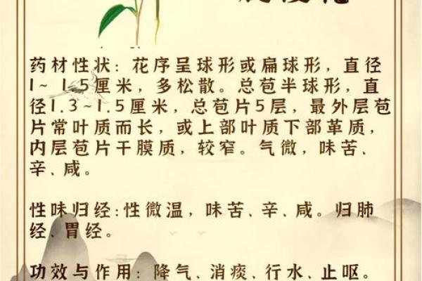 探秘沙中土命：命相克的奥秘与启示