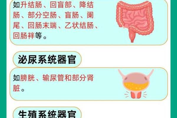探秘沙中土命：命相克的奥秘与启示