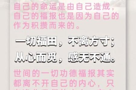 禅师的智慧：为何命运不可更改的深刻思考