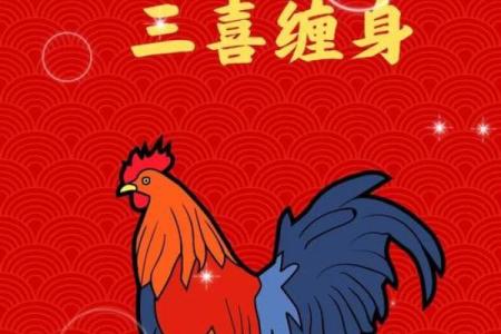 93年属鸡人的命运分析：机遇与挑战并存的一生