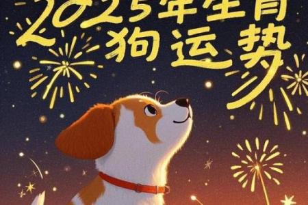 2018年狗年：属狗人的命运与运势揭秘