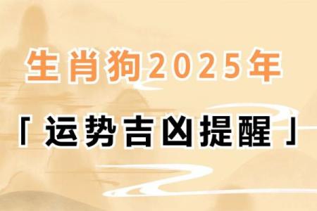 1998年是狗年，属狗的人性格与命运解析