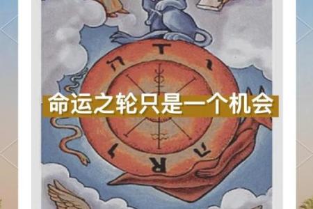 17岁与18岁 人生转折的命运之轮