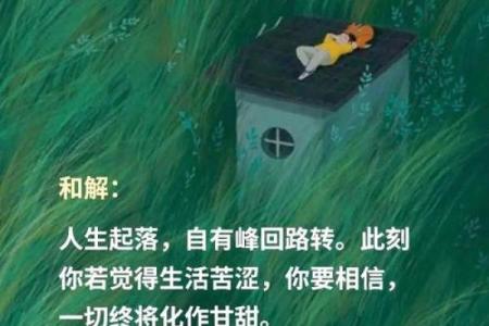 胎元：揭秘命运的秘密与人生轨迹的奥秘