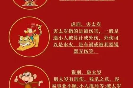 探秘男命祖父生肖对人生影响的奥秘