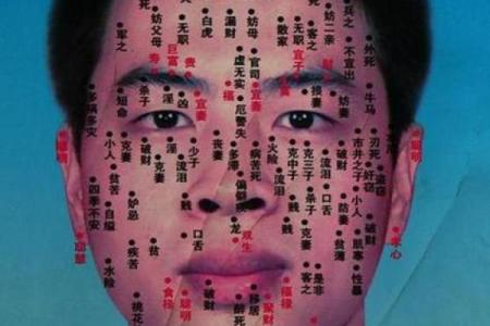 揭示面相之谜：这些特征暗示破财女命！