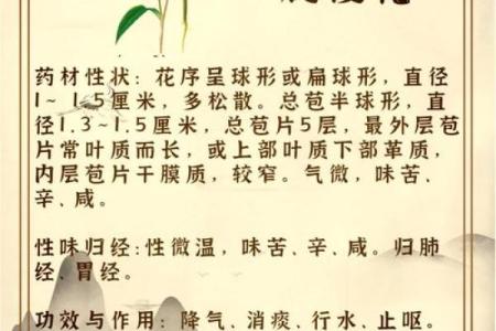探秘沙中土命：命相克的奥秘与启示