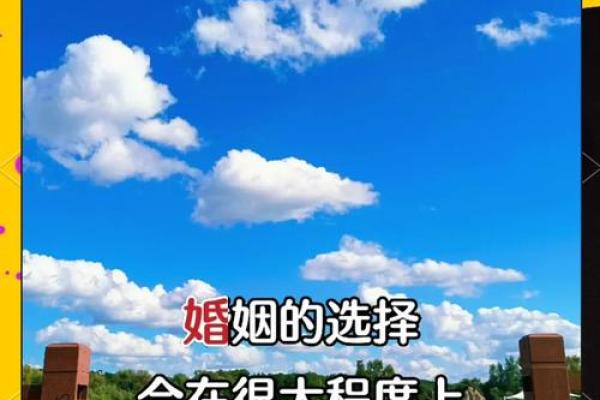 探秘帮夫命：重新定义伴侣与人生的相辅相成