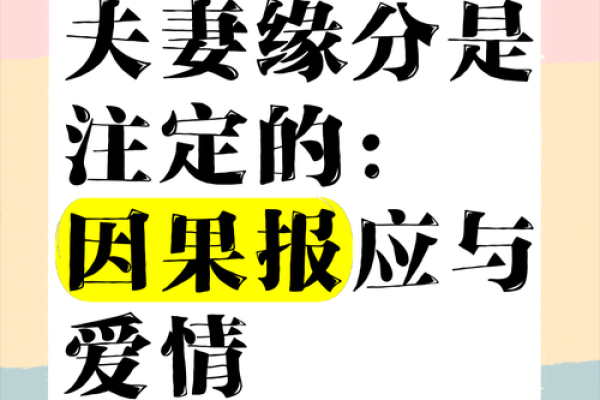 探秘帮夫命：重新定义伴侣与人生的相辅相成