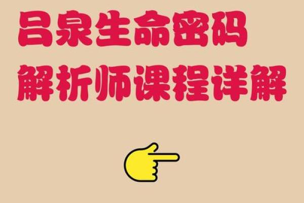 探秘命理师傅：如何解锁你的人生密码