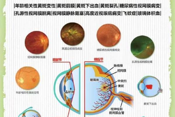 眼睛大为何命运多舛？探究眼睛与命运的奥秘！