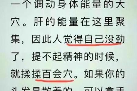 头骨硬的命运：解读人生命理的奥秘与智慧