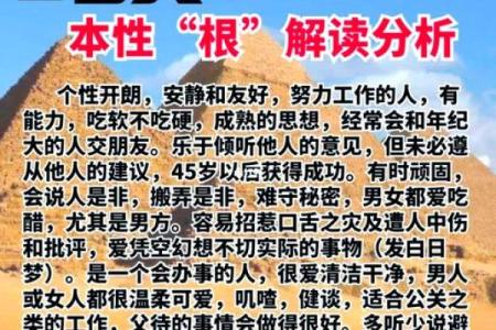 搬家运势与命理：探寻总搬家者的命运密码