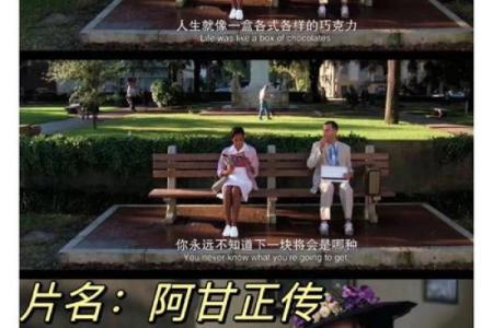 1993年3月出生的人：独特的命运与精彩的人生之旅