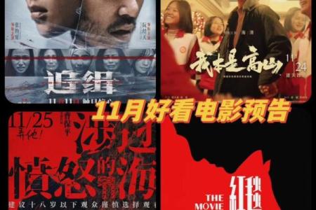 去年就是个什么命？2023年的奇妙之旅与反思