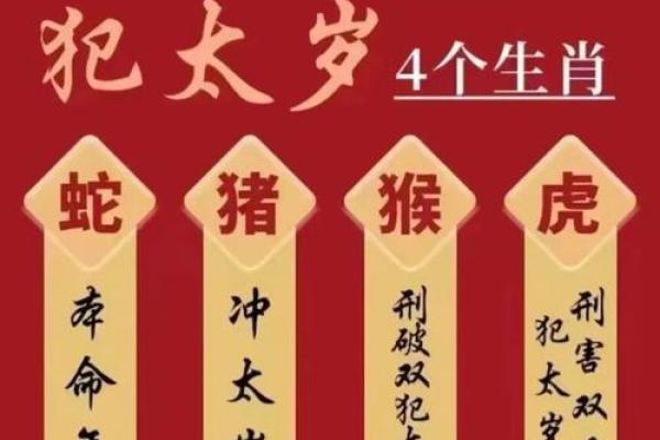 兔年犯太岁的命理解析与应对策略