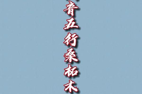 属鼠桑松木命的人生探寻：缺失的秘密与补救之法