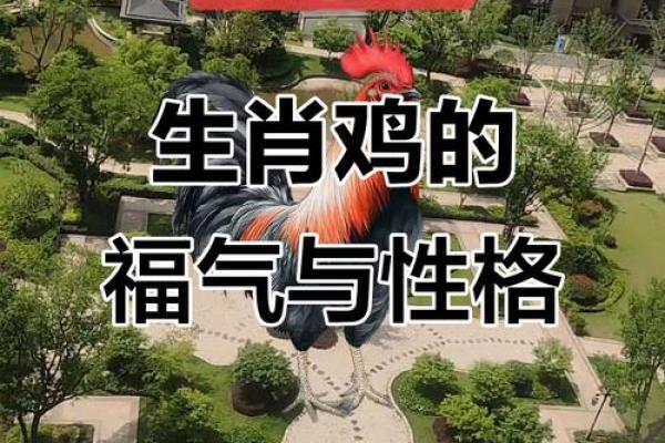 1969属鸡男生的命运探秘：幸运与挑战共存的生活之旅