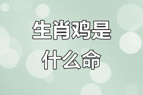 1969属鸡男生的命运探秘：幸运与挑战共存的生活之旅