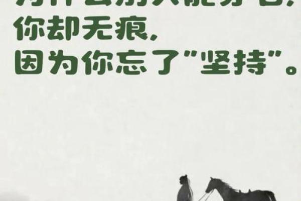 探索2004年1月的命运之旅：新年伊始的运势解析与人生启示