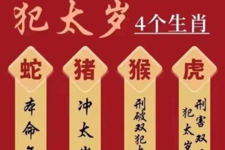 兔年犯太岁的命理解析与应对策略