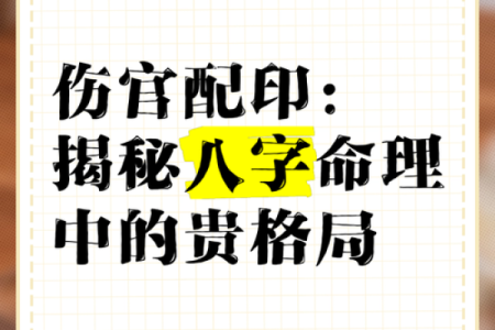 命格中的红字解析：揭秘命理中的隐秘力量与人生轨迹