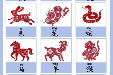 两命七七：揭示2023年生肖的奥秘与魅力