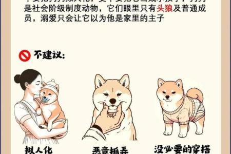 适合养狗的命理：哪些人最能与狗狗共度幸福生活？