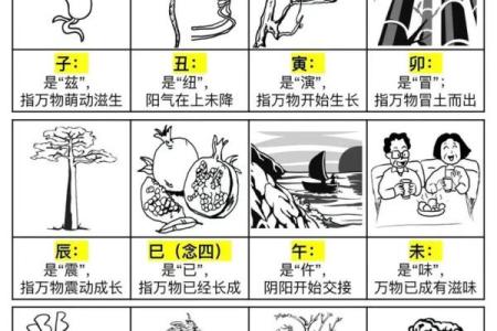 探秘地支丙：火焰中的热情与智慧解析