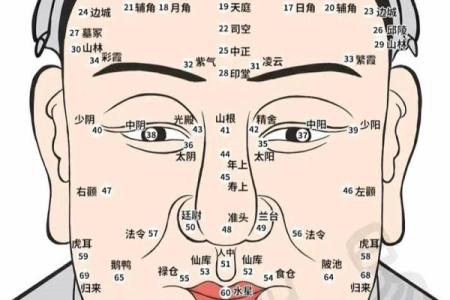 旺夫命面的面相解析：如何通过面相理解旺夫命的特征