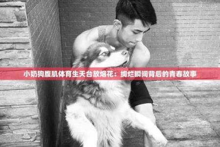 1970年出生的男狗：命运与性格的奥秘探讨