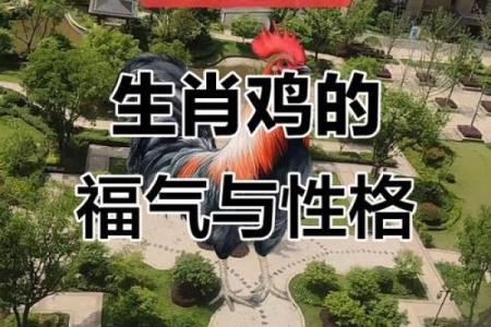 1969属鸡男生的命运探秘：幸运与挑战共存的生活之旅