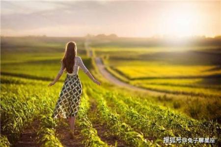 探索2004年1月的命运之旅：新年伊始的运势解析与人生启示