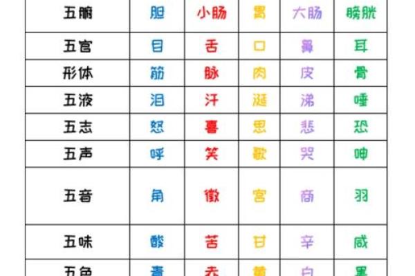 探索五行与命理：揭示生活中的神秘力量与智慧