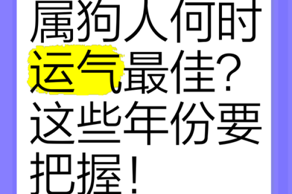 探秘2018年属狗人的命运与运势：幸福生活的引导者！