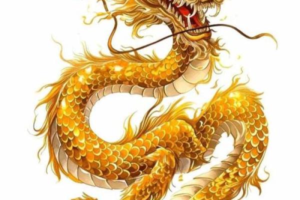 166年属龙命运解析：探寻午火之力与人生智慧