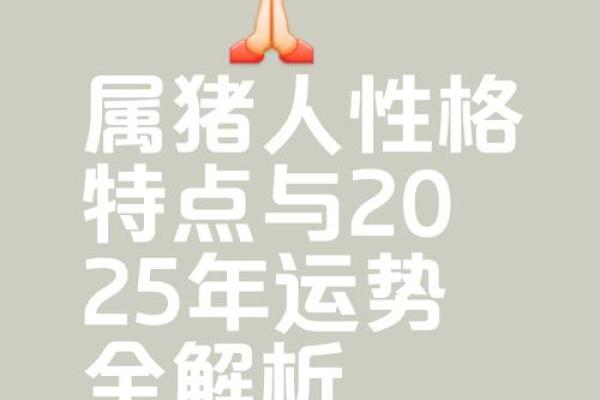 1995年出生的猪男人：性格解析与命运探讨