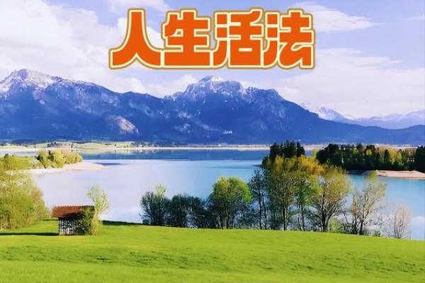虚岁34属虎的命运解析：如何把握人生的每一个机会