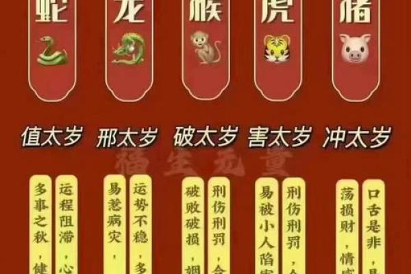 30小龙木命的命理解析与生活启示