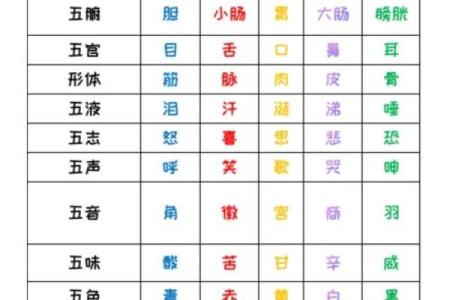 探索五行与命理：揭示生活中的神秘力量与智慧