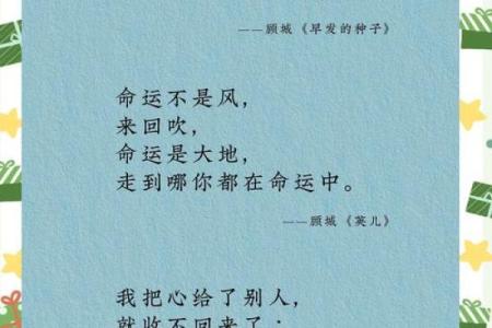 《生命的轮回：从四条命到一条命的情感旅程》