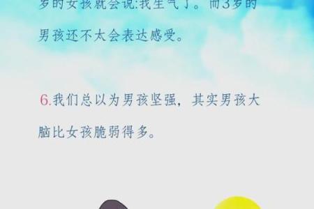 女儿生男儿命背后的情感与现实探寻