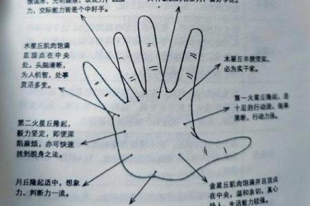 小米指头短的人命运解析：深藏在手指里的秘密