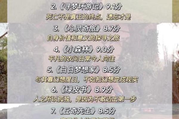 命运的赛道：攀比与自我价值的探索之旅