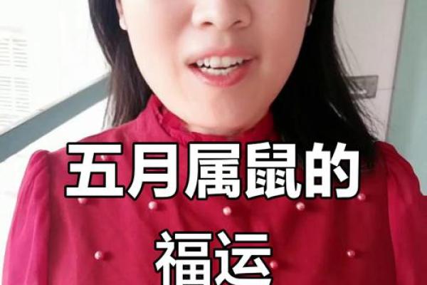 2008年属鼠人的命理解析与运势展望