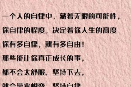 995年出生的人命运解析：从命理看人生的各种可能性