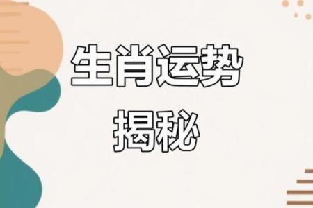 探索2024年5月的运势，揭示属于你的命运密码！
