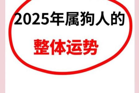 2006年狗年运势揭秘：属于你的财富与幸福之路