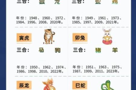 癸亥水命与生肖的神秘关联：深度解析