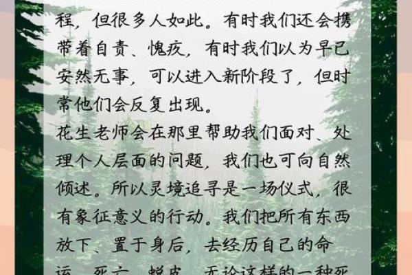 1984年出生者的命理分析：木命的心灵之旅与生命智慧